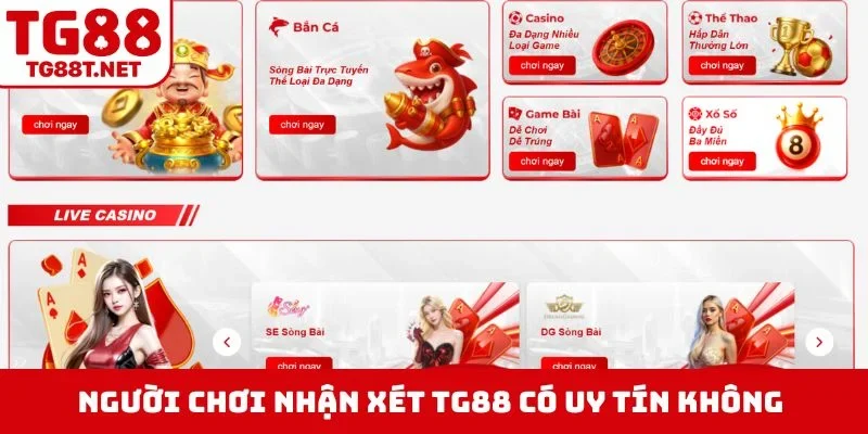 Người chơi nhận xét TG88 có uy tín không