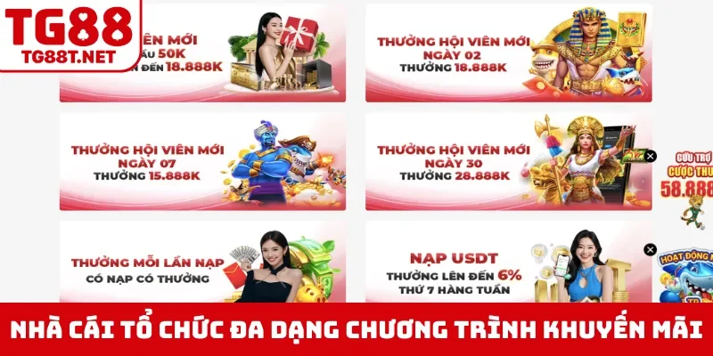 Nhà cái tổ chức đa dạng chương trình khuyến mãi