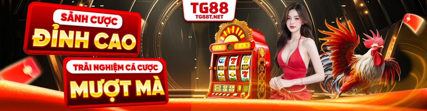 banner tg88